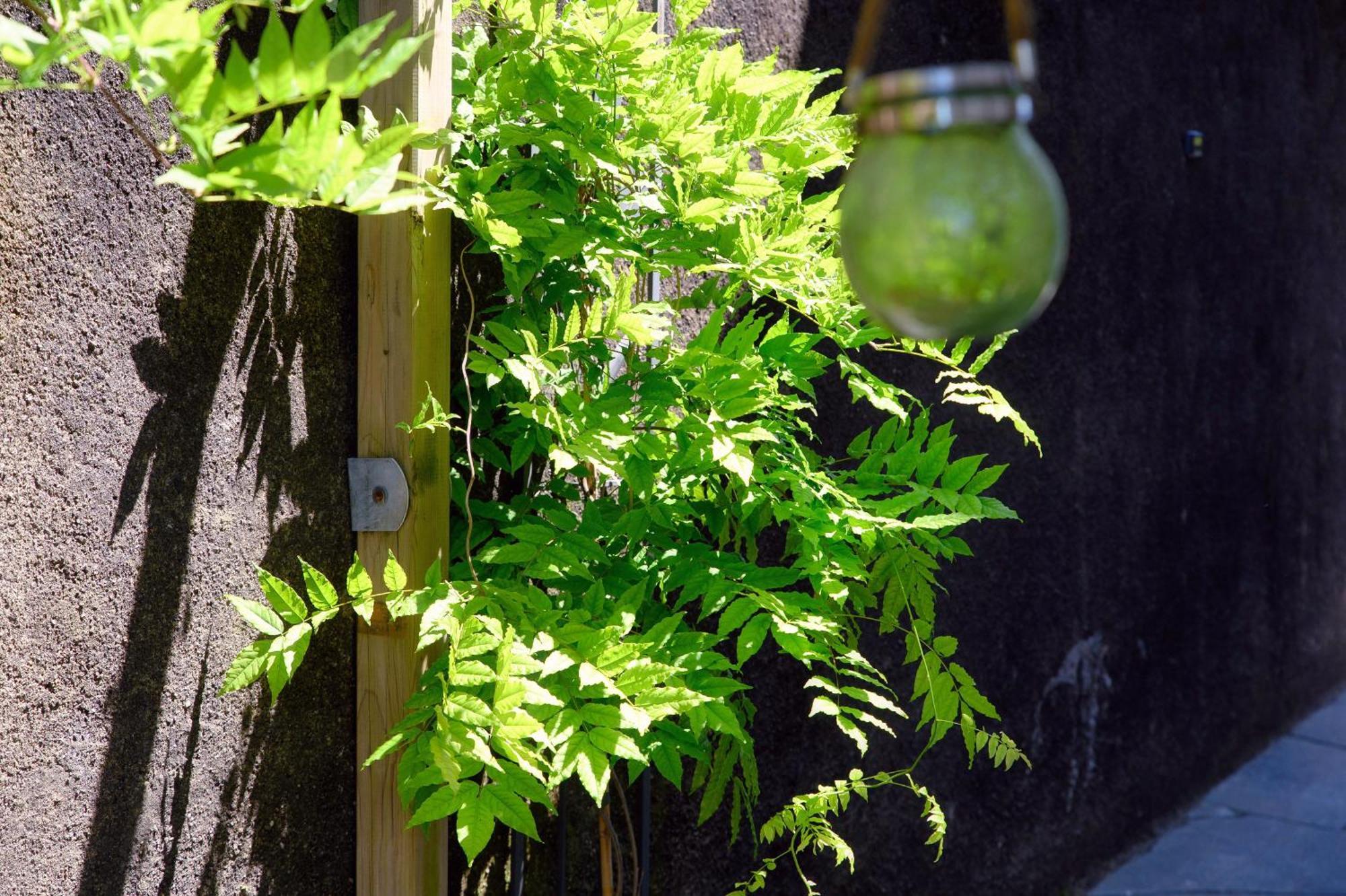 Wisteriaroom Como Exteriér fotografie